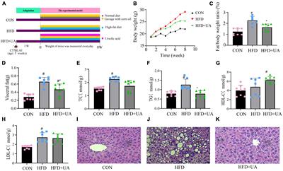 Ursolic acid ameliorates obesity of mice fed with high-fat diet via alteration of gut microbiota and amino acid metabolism